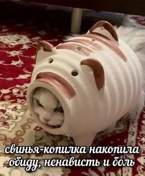    ,   , , , Telegram ()