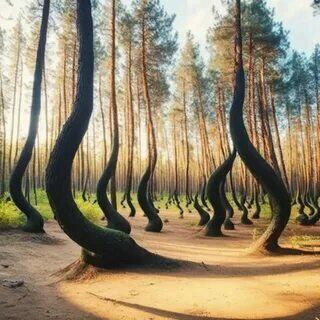 ��������� ���.