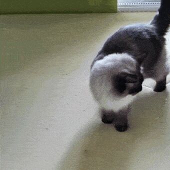   , , , 