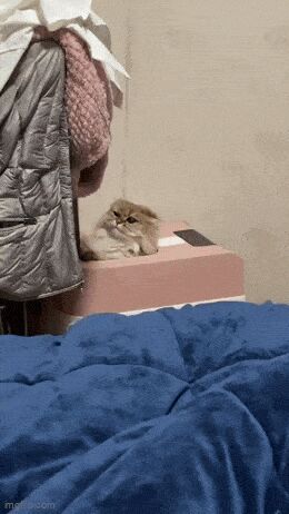   , , , 
