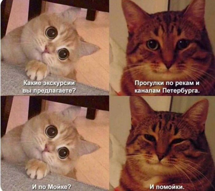 ���-�� �� �������������