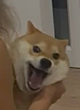   :    ,       , ,   , , , , , 