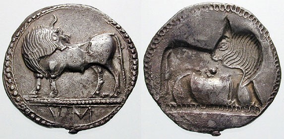 Сибаритский номос с характерным изображением быка