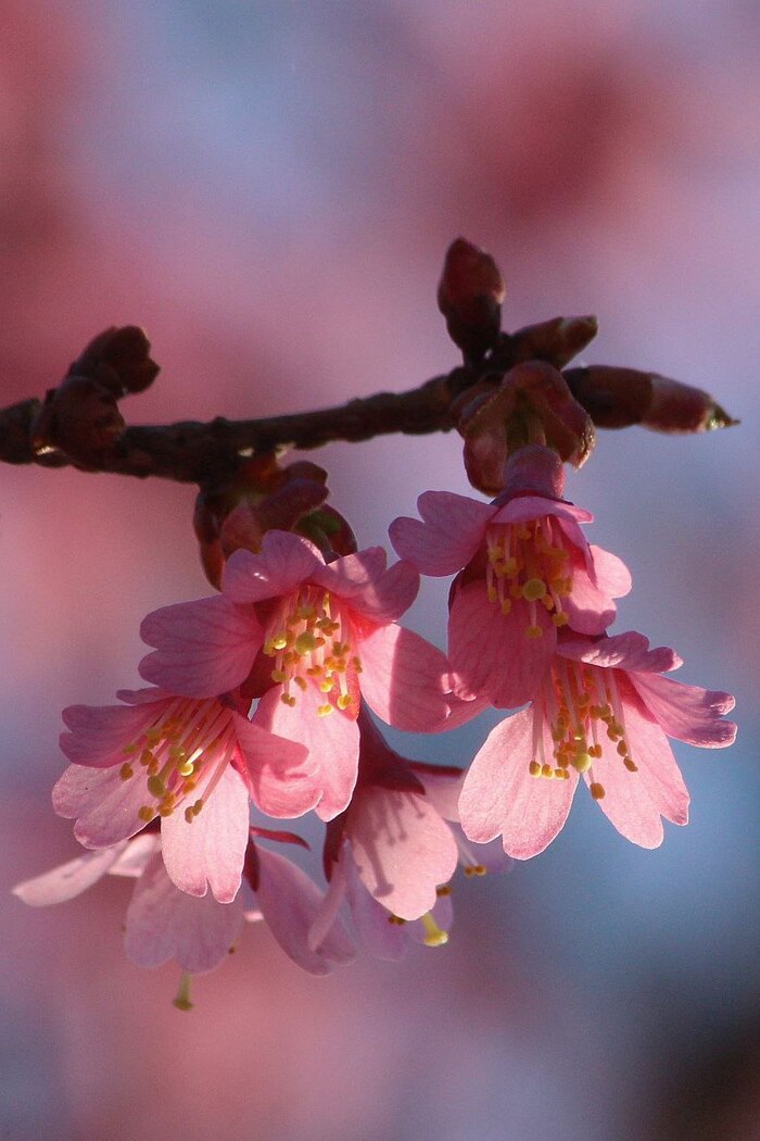 � ��� �����!