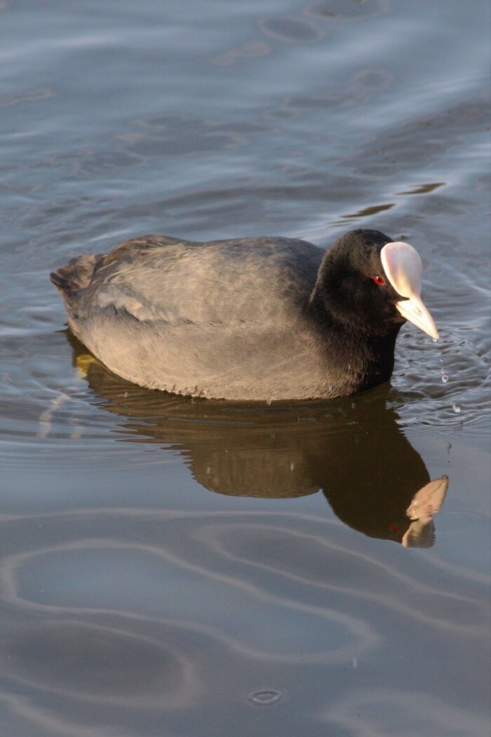 ������� ���� �������� ������. ������� �� ��������!