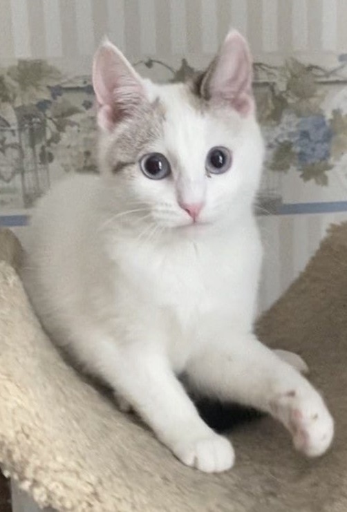      ,   ,  , , ,  ,  , ,  , , ,  , ,  , , 