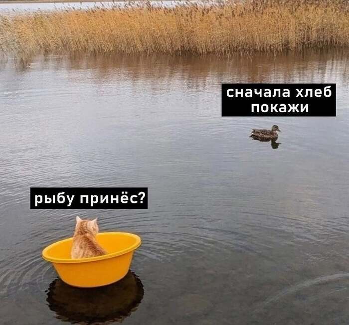 Деловая встреча