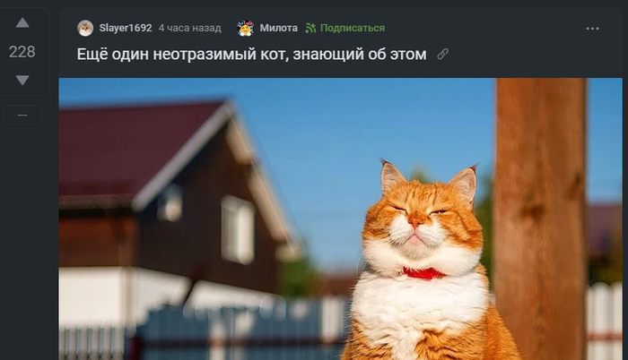 Достойно мема