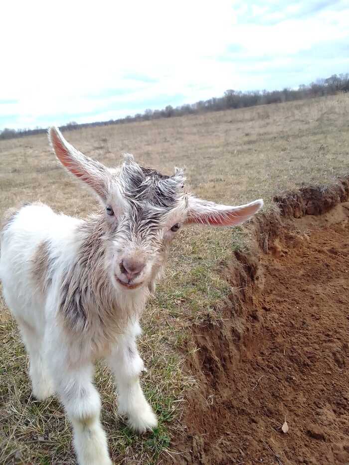 До новых встреч!