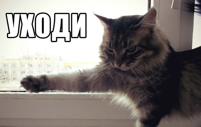 Ответ на пост «Каким бы был мир без ислама (дипсик)»