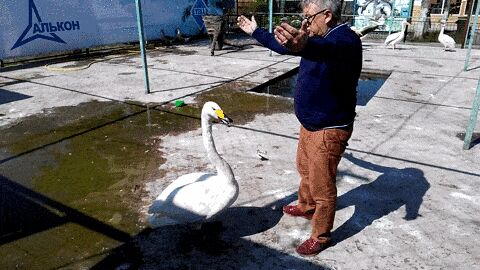    , , , 
