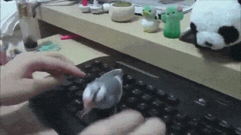    , , , 