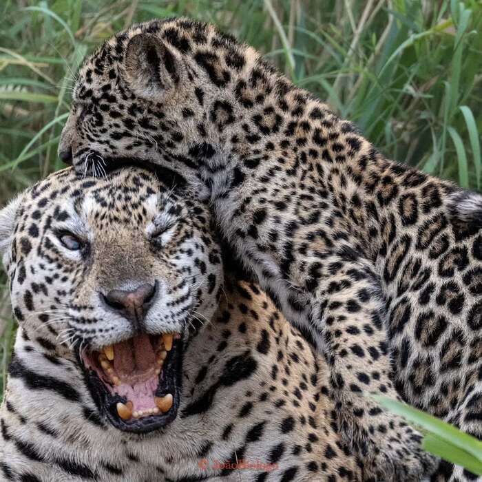   ! , ,  ,  ,  ,  ,  ,  , , 