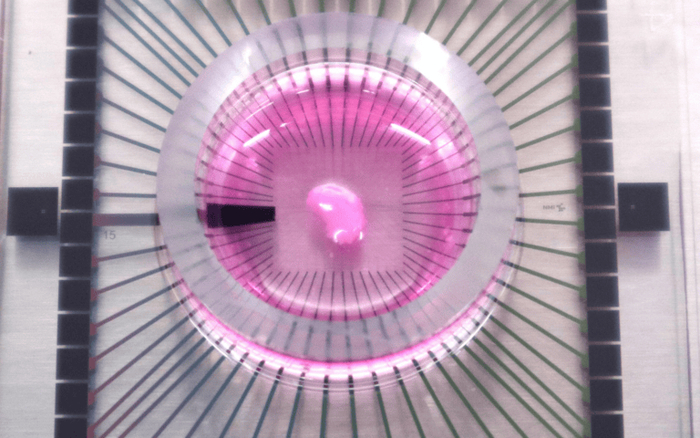 Itay&amp;Beyond        ,            .   Itay&amp;Beyond