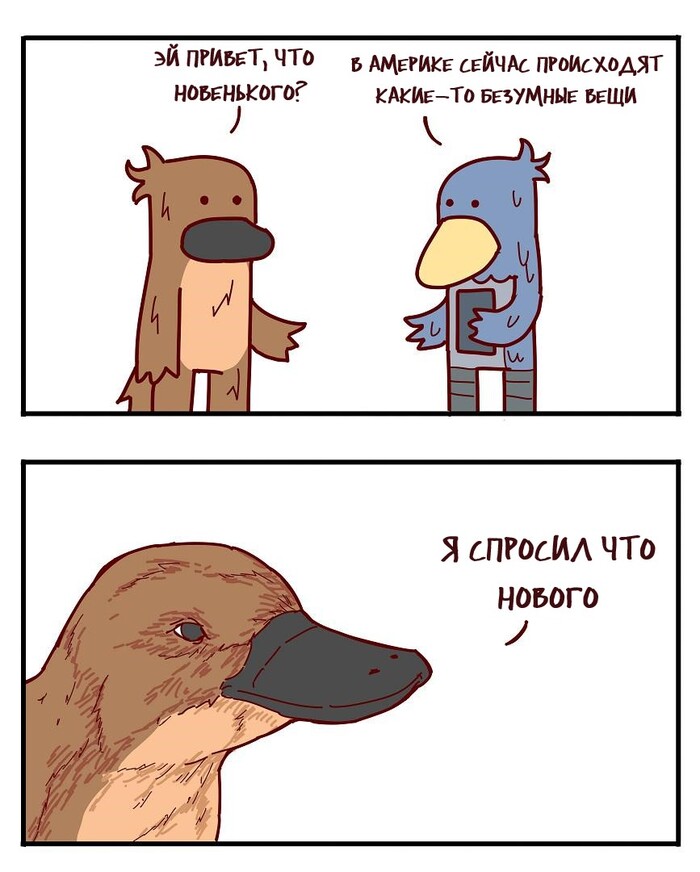 Уже привычно как-то