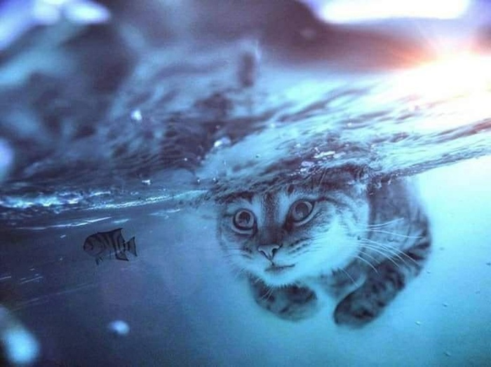     Nevermind?