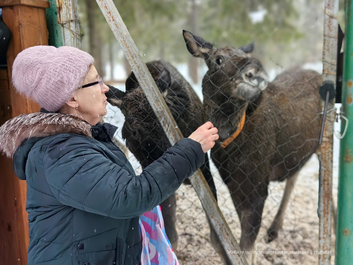 Светлана Владимировна