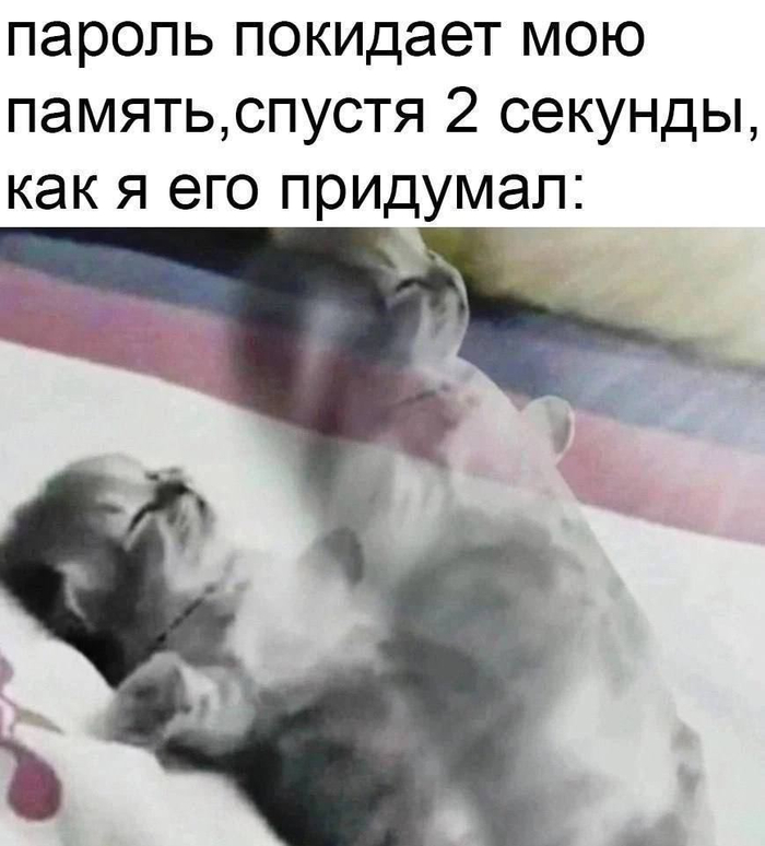  , ,   , , Telegram (), , , , 