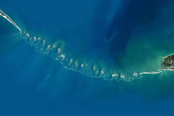 ������ ����