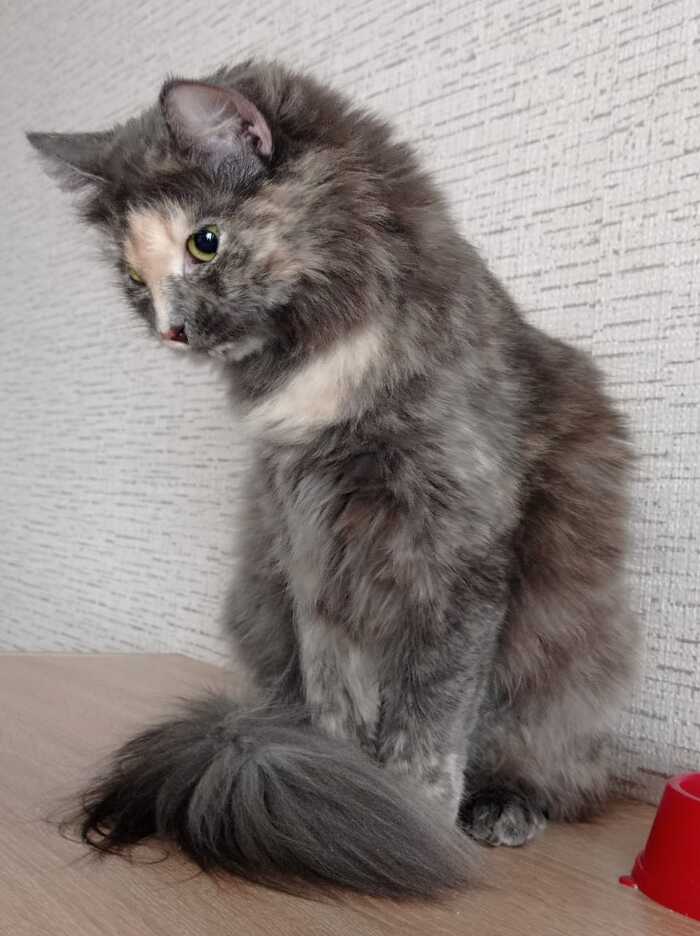 , , !!!   ?  ,   , ,  , -,  , ,  ,  , 