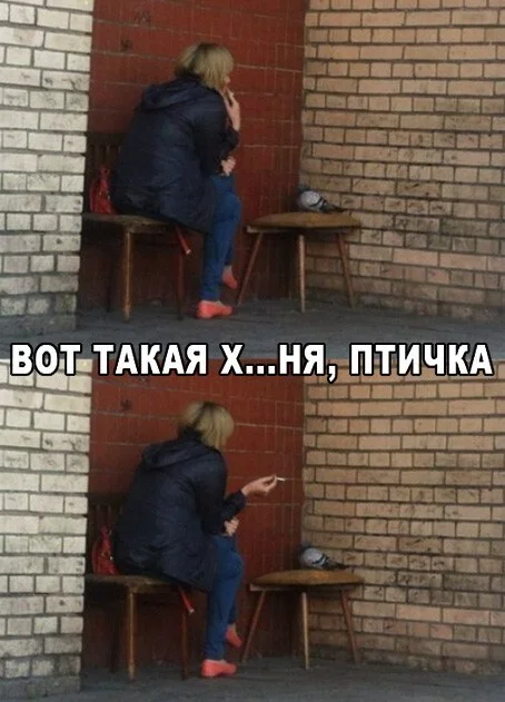 uqhszfmp.webp