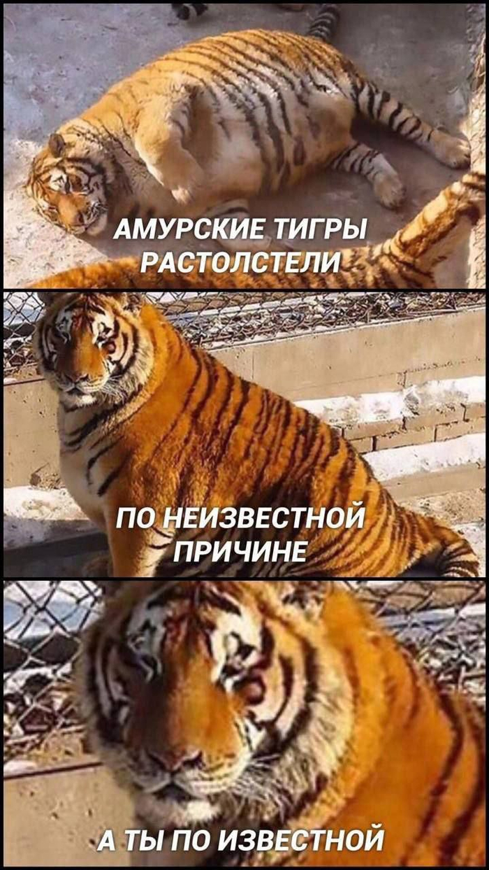 ����� ����!