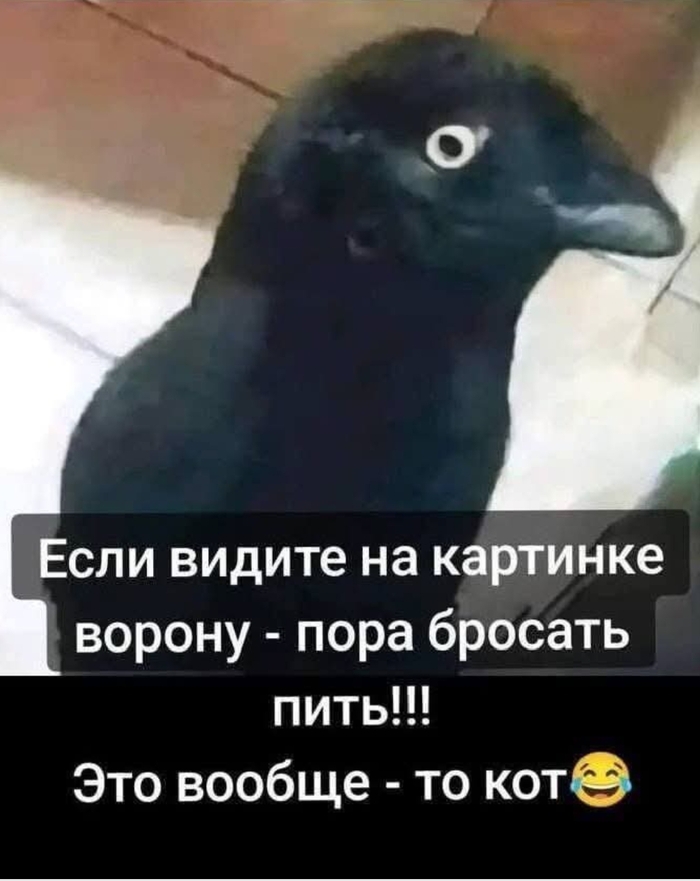 ������ ��� ���