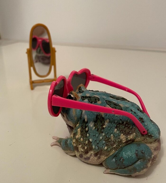  ! , It Is Wednesday My Dudes, , , 