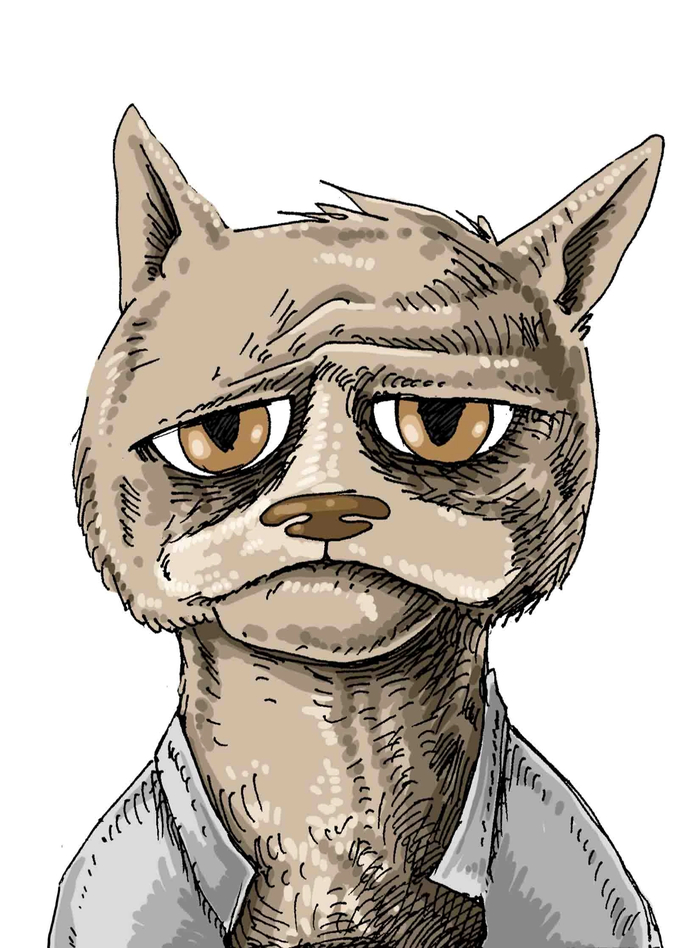 ?   !) , , ,  ,  , , , 