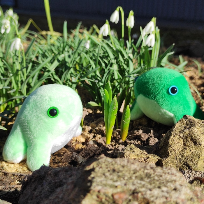 ~ ликуют, что нашли подснежники ~