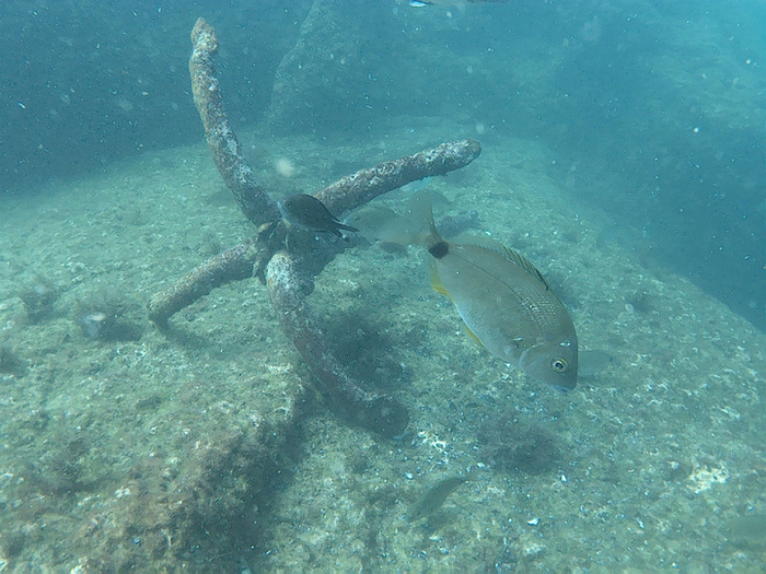 �������� �� ���������