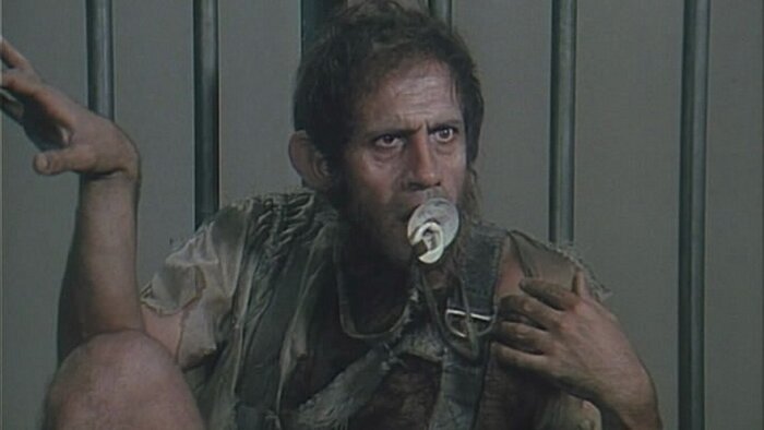 ���� ������ "����� �����"