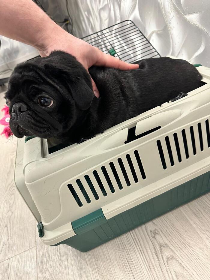      ,          .      9 ?