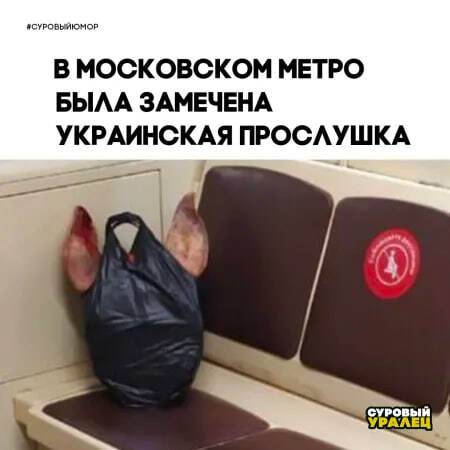  ,   ,    