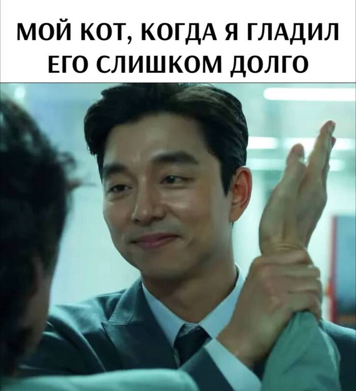 !! ,   , , , , Telegram ()