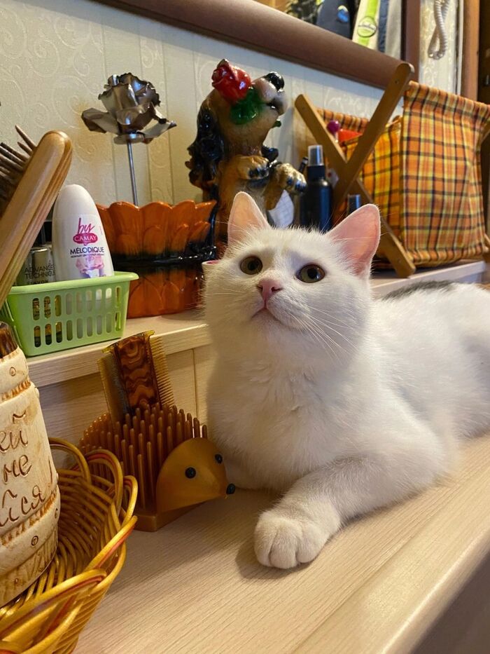     ,      .        , -,  ,  ,  , , 