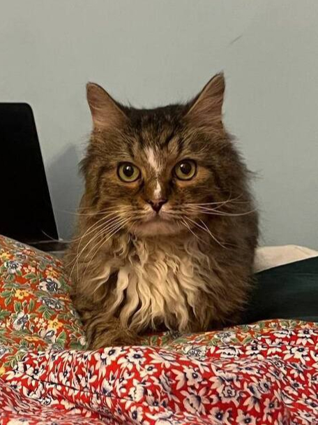 ����� ����� ��� ����� �����!