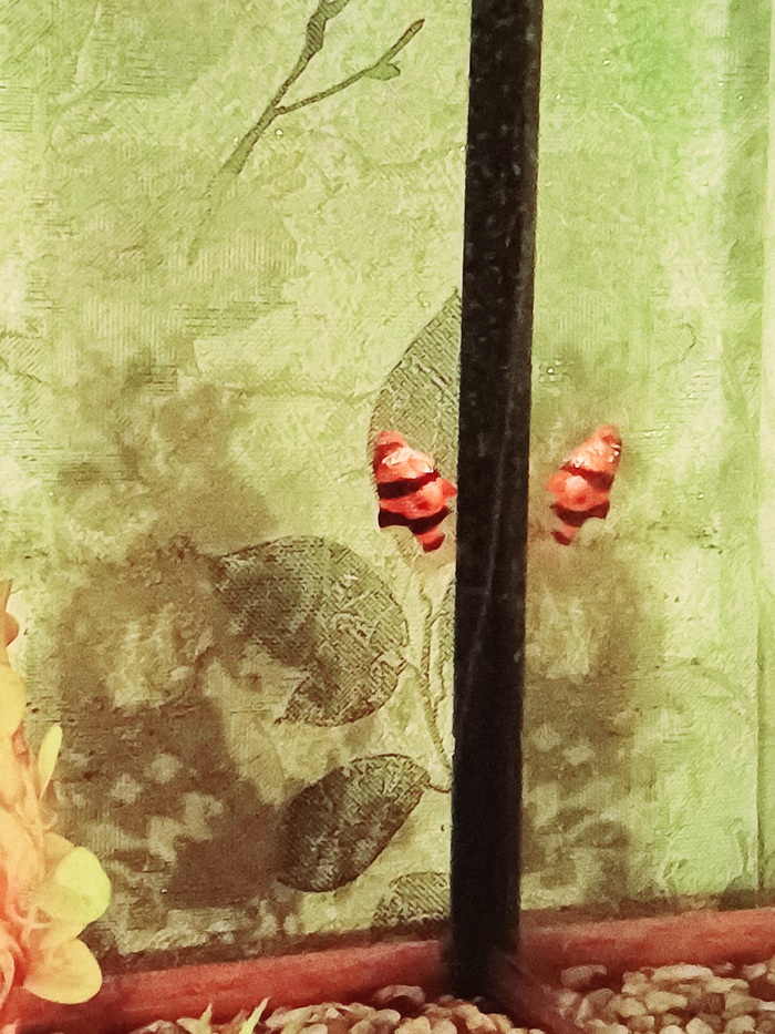      , , ,  