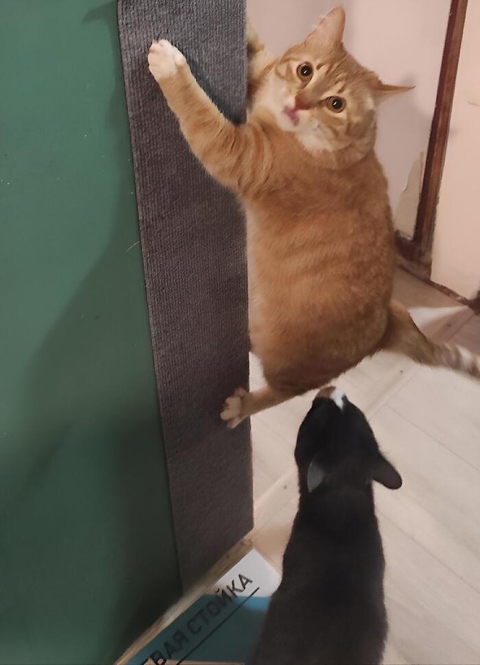 Начинающим скалолазам всегда нужна страховка