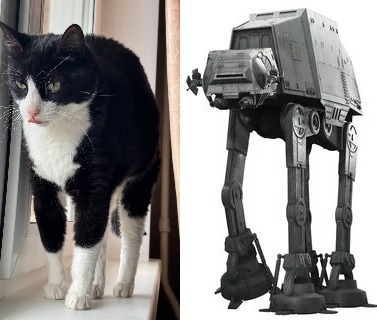  - , Star Wars, -