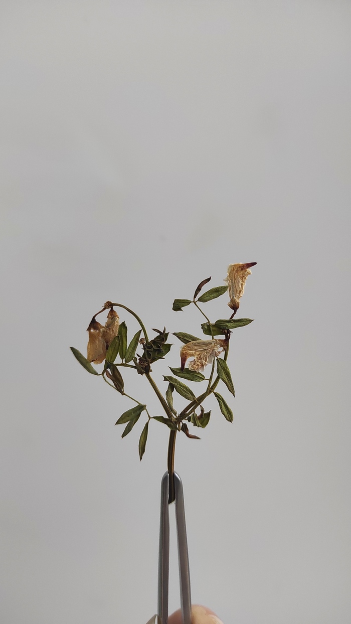 Что вы чувствуете прямо сейчас?