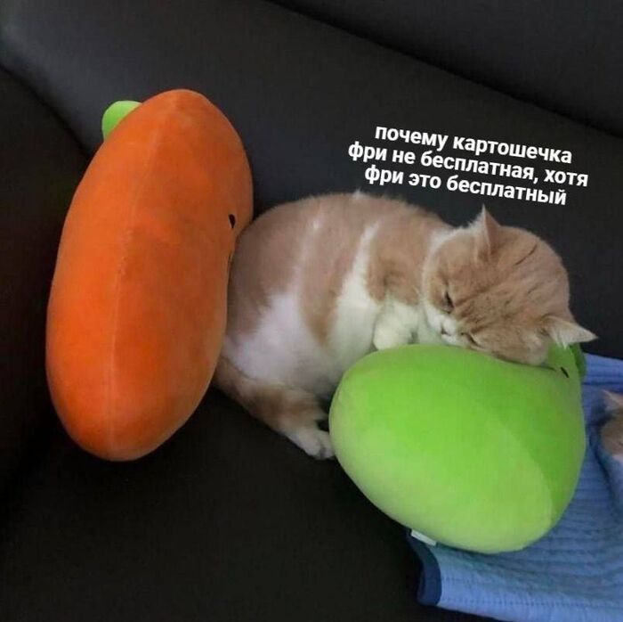  (