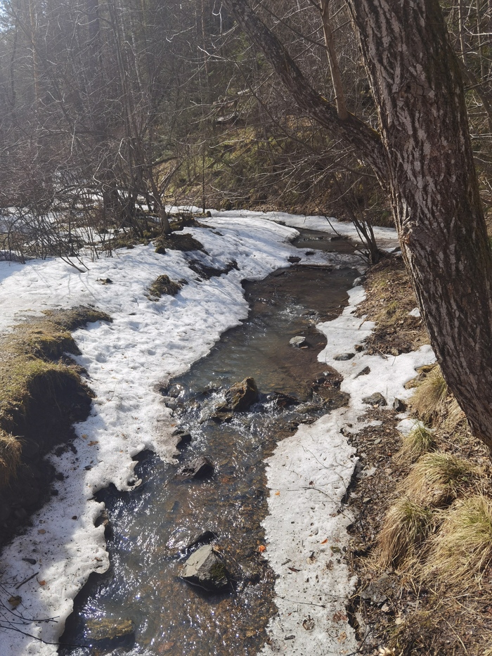 Отдохнула рабочей душой, нагрузила зазимевшее тело Природа, Юмор, Сойка, Тренировка, Самоирония, Созерцание, Видео, Вертикальное видео, Короткие видео, Длиннопост, Красноярские столбы, Поход, Пвд, Весна
