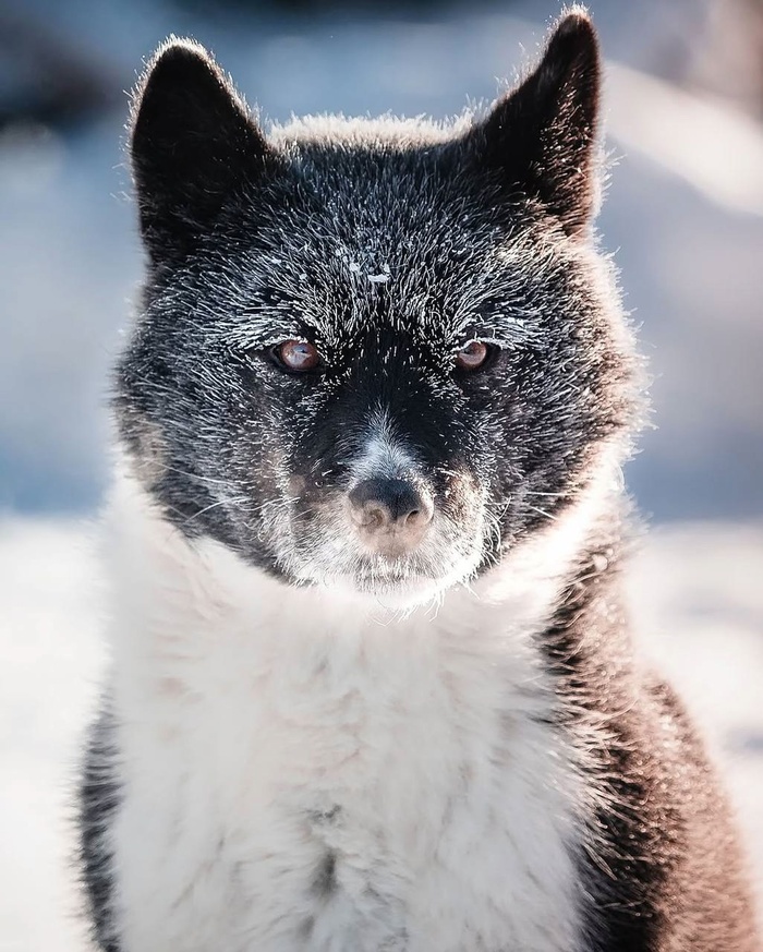  ,   ,   e ,  e   e  ee- 