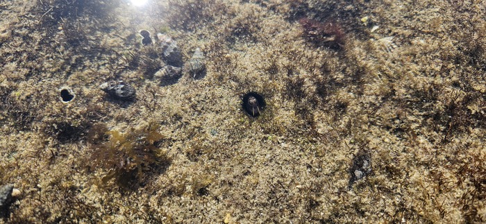 Ну-ка, приблизим...