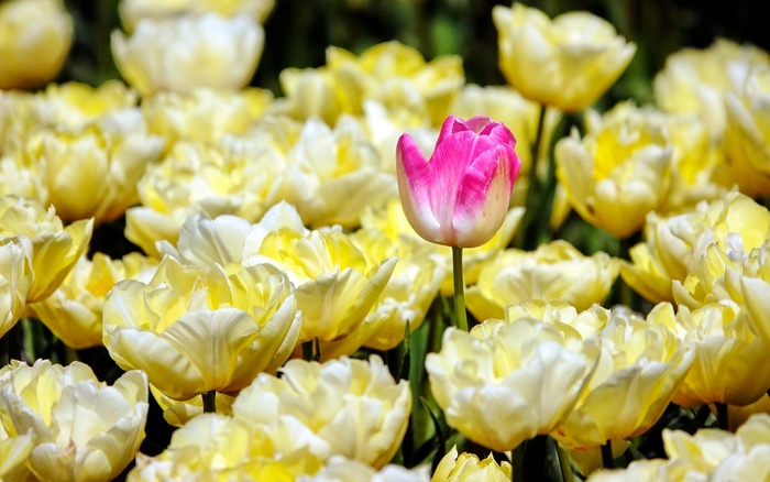 Будь собой, все остальные места уже заняты.