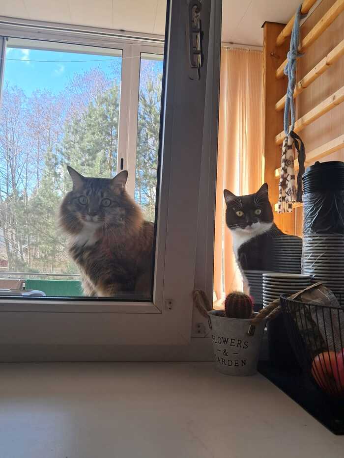 �� ����������!