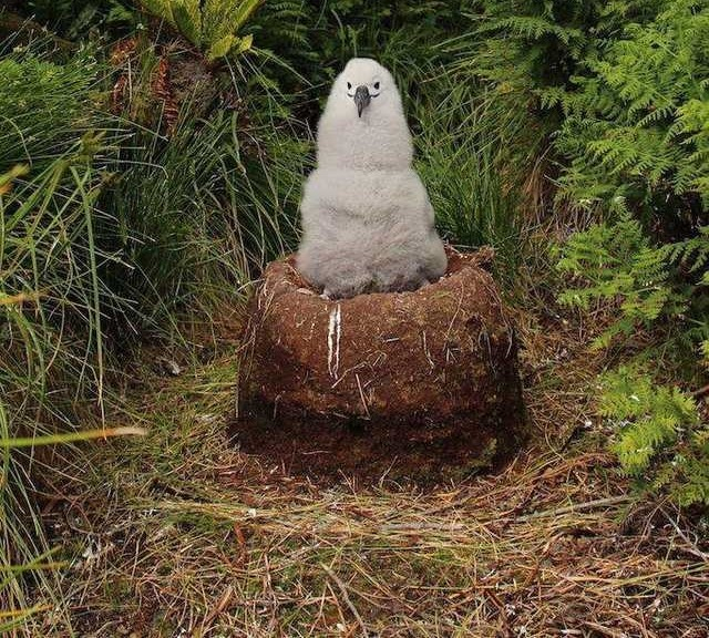      ,    .       3 .       !