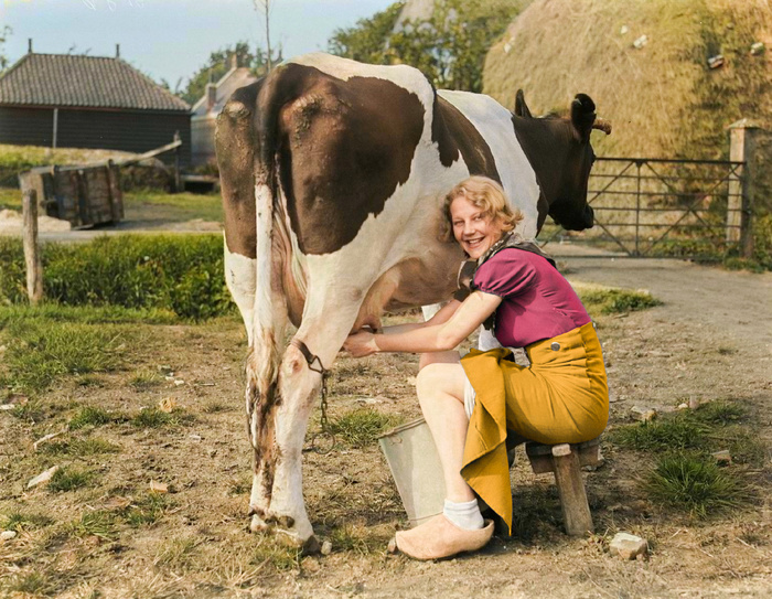 ��������: Willem van de Poll