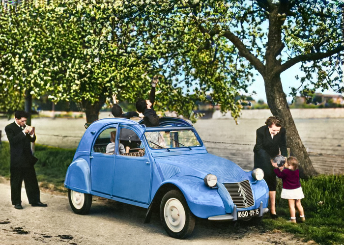 ��������: ������� ����